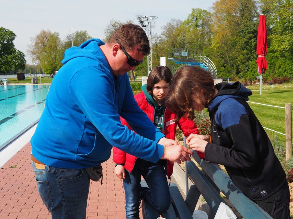 Girls'Day-Teilnehmerinnen und Mitarbeiter reparieren eine Bank in einem Freibad