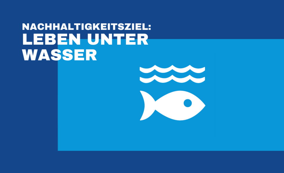 Grafik zum Nachhaltigkeitsziel: Leben unter Wasser