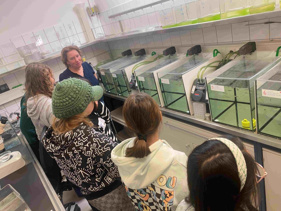 Girls' Day-Teilnehmerinnen und eine Mitarbeiterin beobachten Aquarien in einem Labor