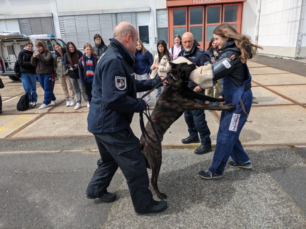 Girls'Day-Teilnehmerin und Bundespolizisten mit angreifendem Polizeihund