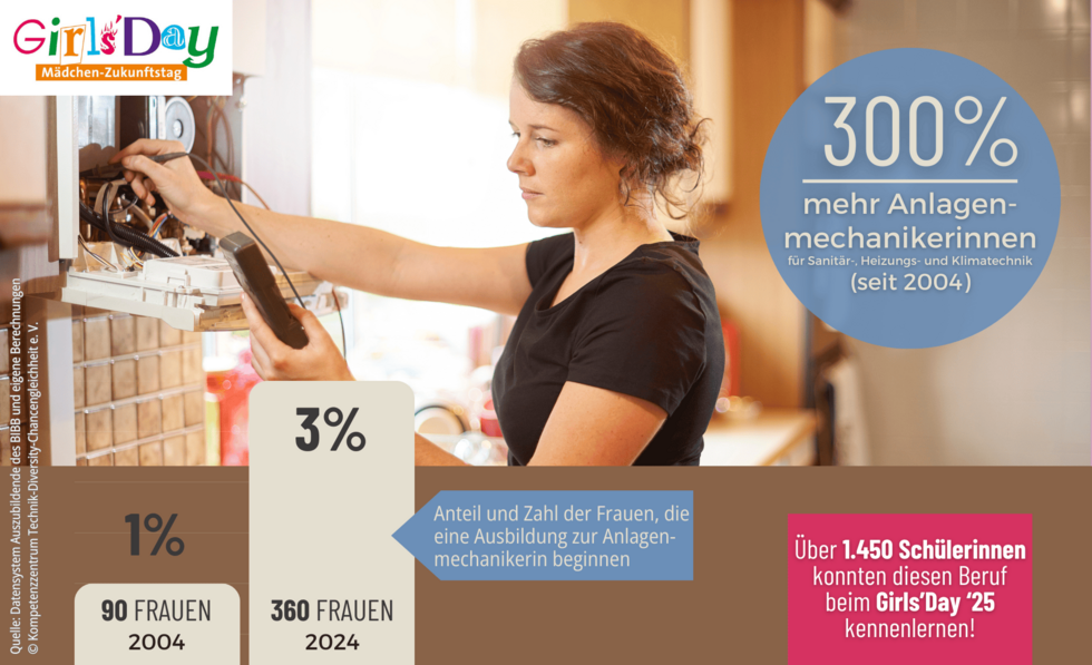 Grafik zur Anlagenmechanikerin, Zahlen 2024